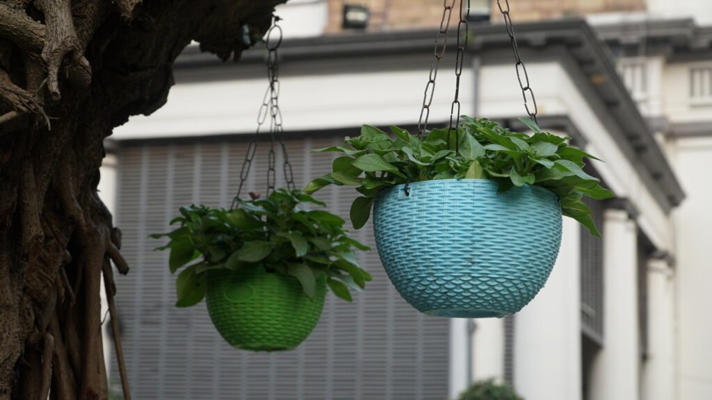 DSC02394 St. John's Church Kolkata St. Johns Church