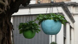 DSC02394 St. Johns Church